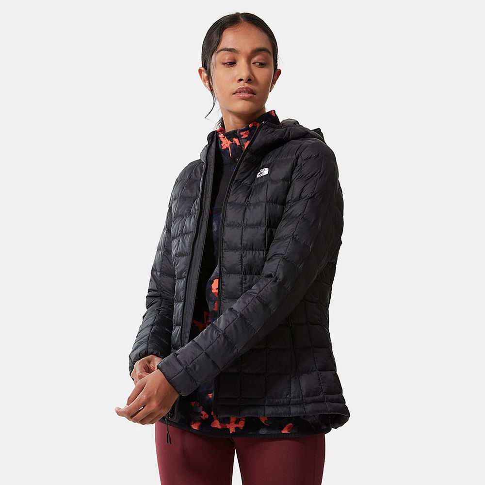 The North Face Hooded Jacket Womens Australia - The North Face Thermoball™ Eco Black Hiking (ZCJ-872